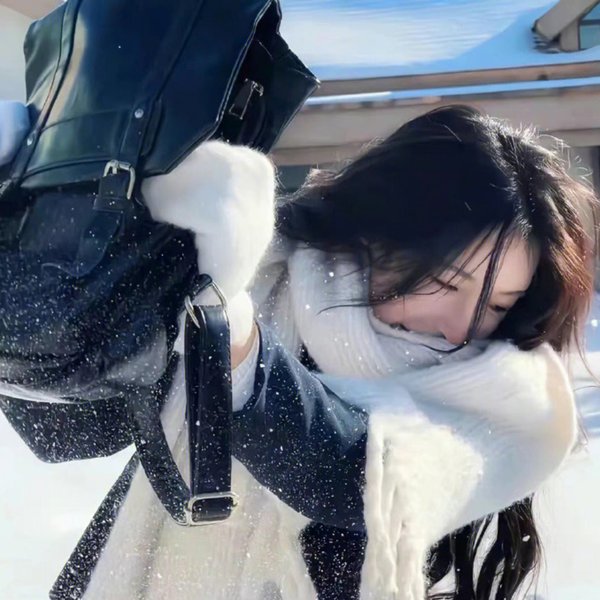 倾世皇妃